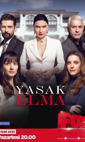 Турецкий сериал Запретный плод