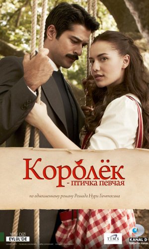 Турецкий сериал Королёк – птичка певчая