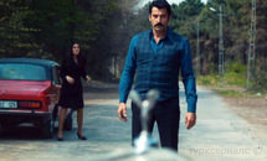 Кадр из турецкого сериала Карадай 66 серия