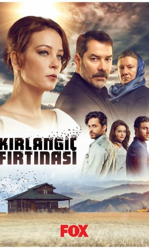 Турецкий сериал Шторм ласточки